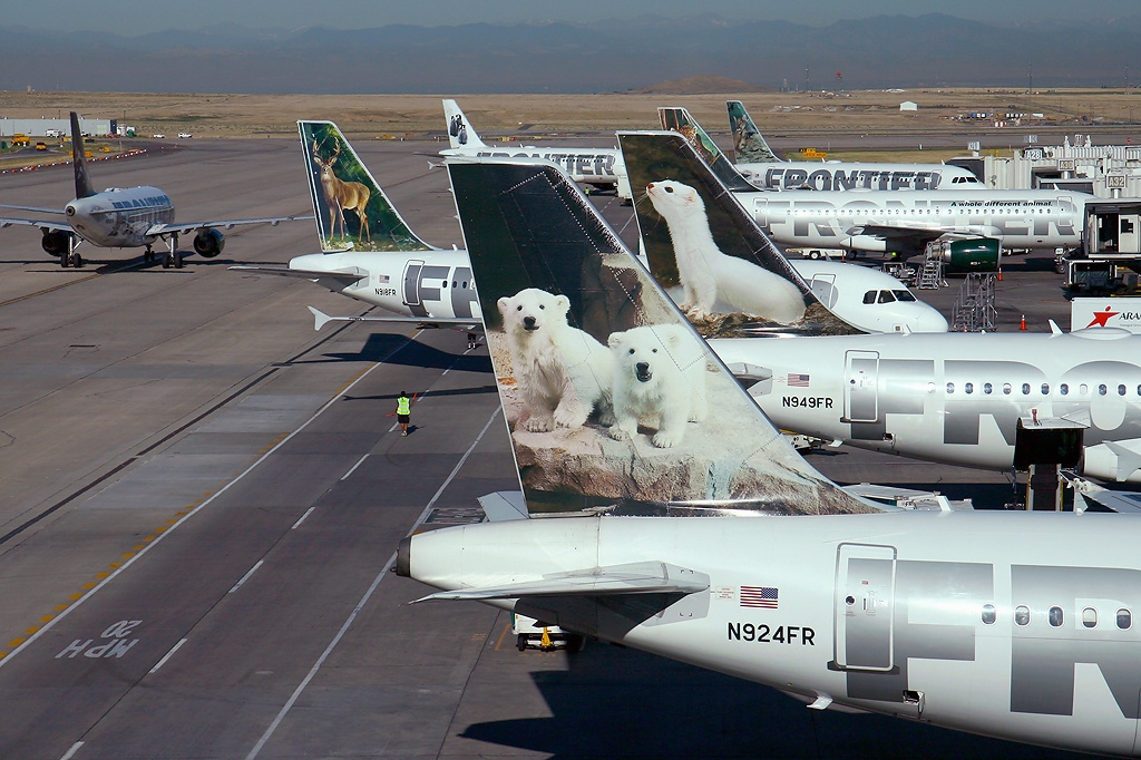 Fleet of Frontier Airlines airplanes parked at airport