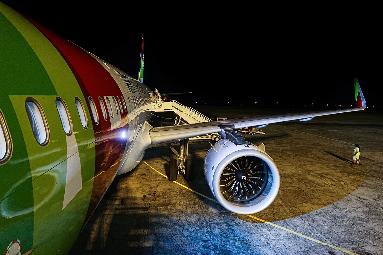 A TAP Air Portugal Airbus preparing for a night flight.