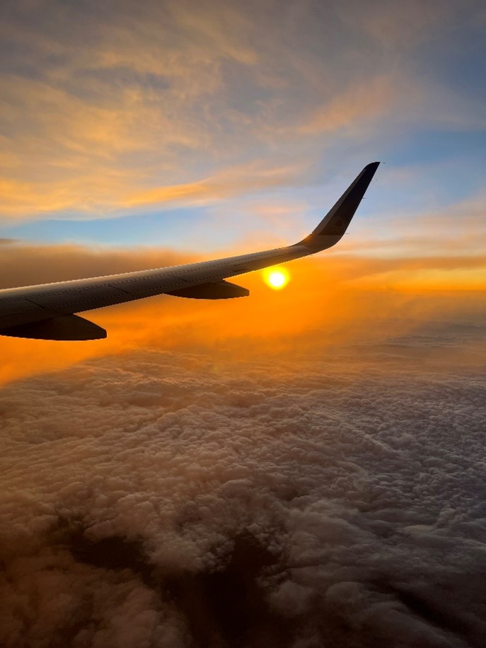 A Vistara Airbus departing Srinagar flies above the cloud as the sun sets.