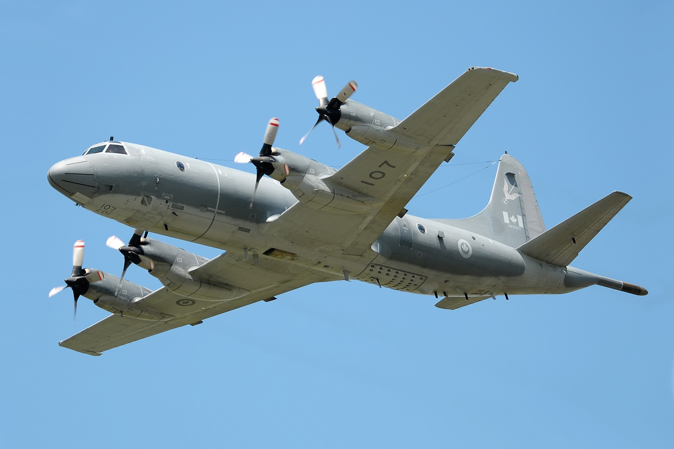 A Canadian Air Force Lockheed CP-140 in flight
