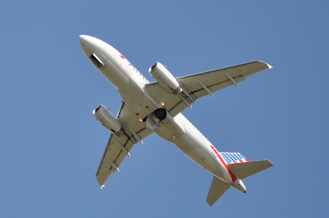 An Airbus A319 in flight.