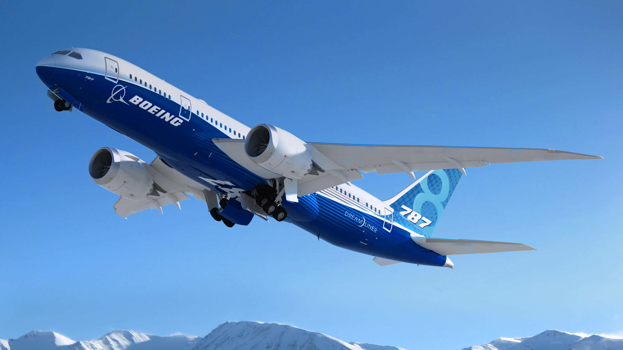 A Boeing 787 Dreamliner in flight