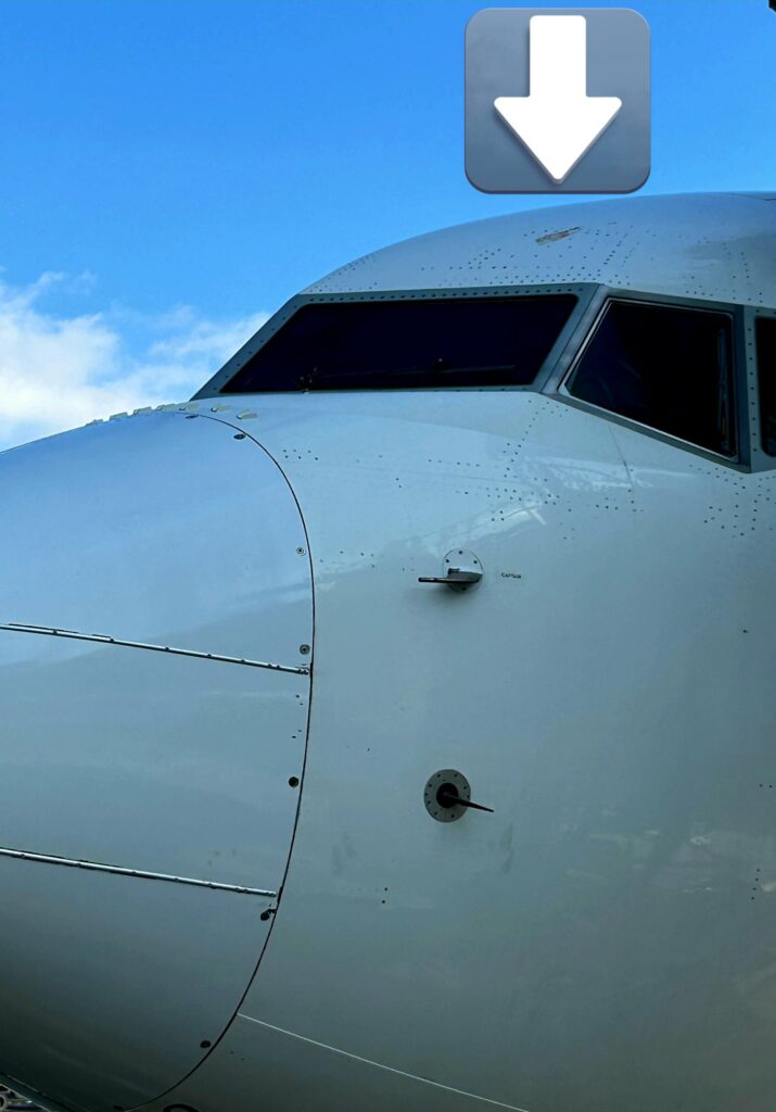 Image of the Delta Air Lines Boeing 737-900 suffering a bird strike in New York's JFK.