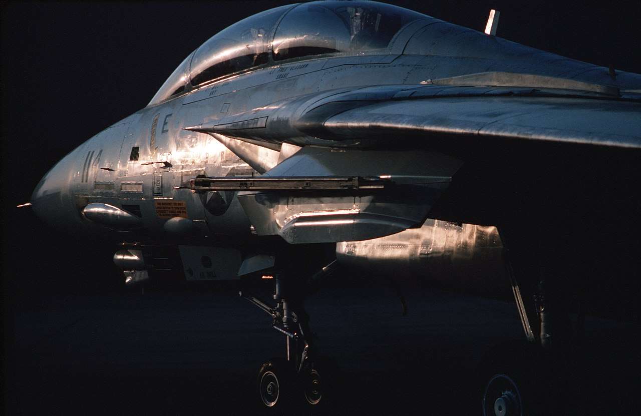 An F-14 Tomcat at Miramar
