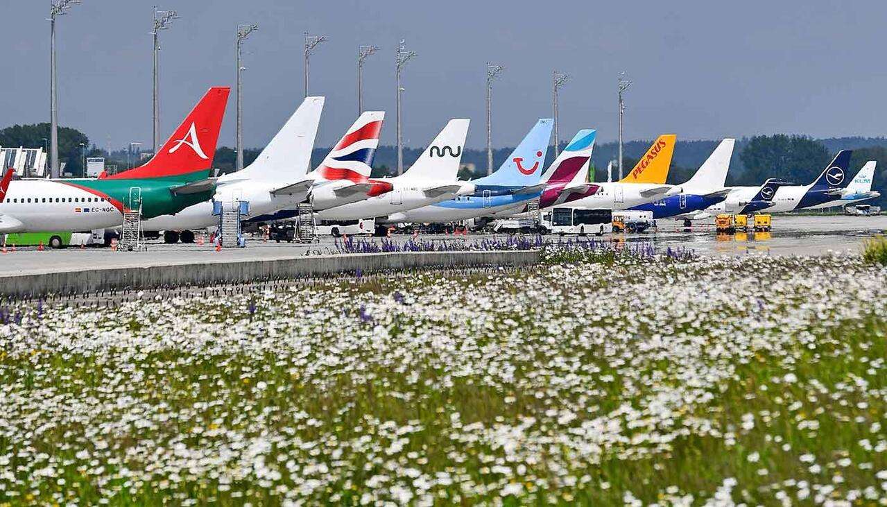 A line of aircraft parked at Munich Airport.
