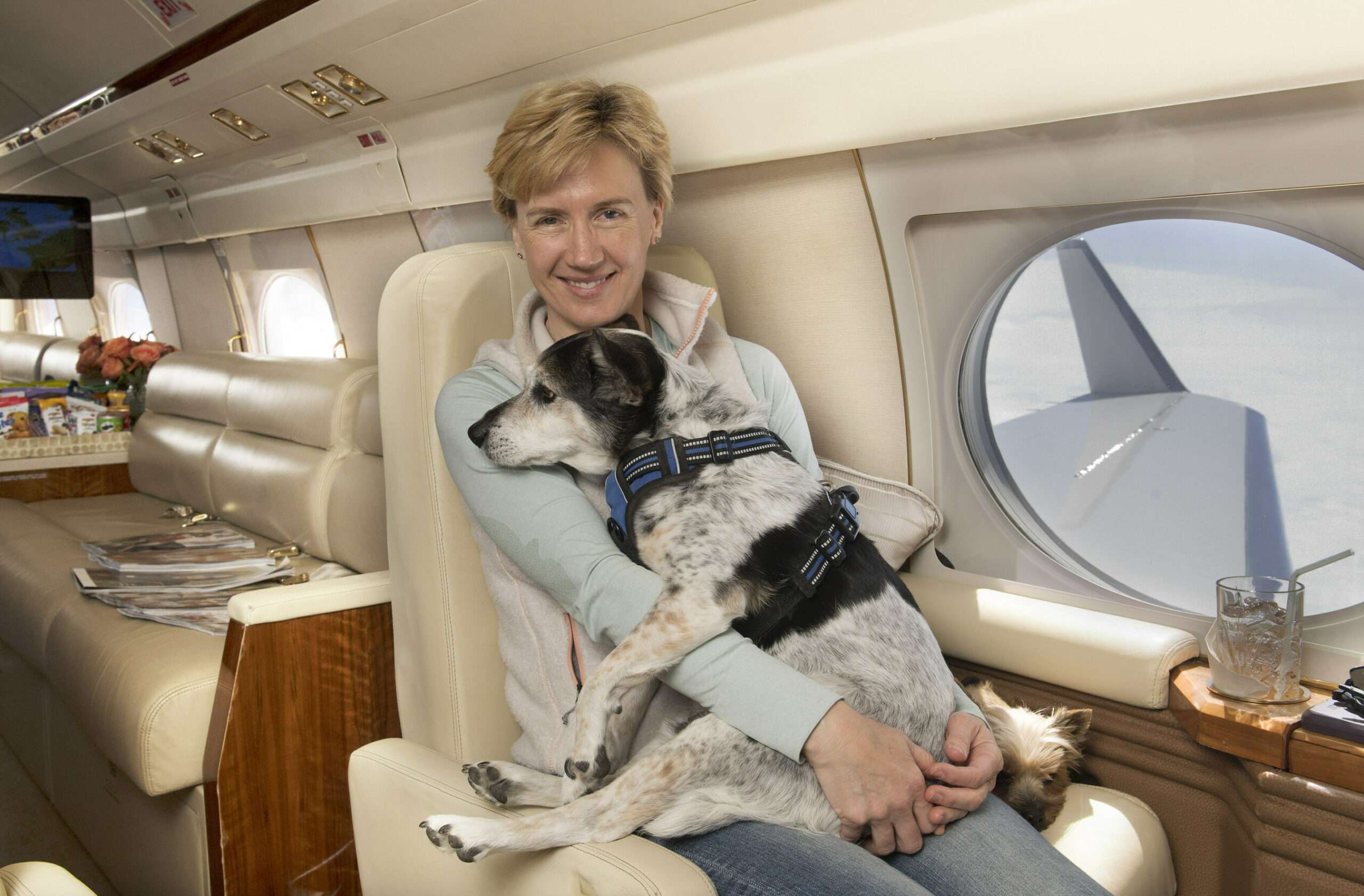 Onboard a K9 Jets jet charter from Los Angeles
