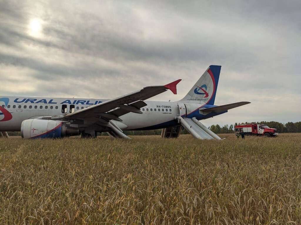 Passengers compensated after Ural Novosibirsk field landing