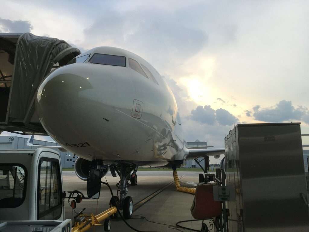 Delta Flight Seattle-Lihue Suffers Bird Strike