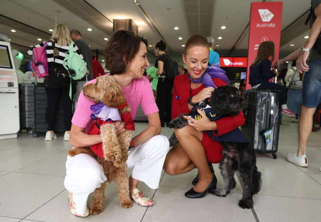 Virgin Australia CEO and staff member with dogs in airport terminal.