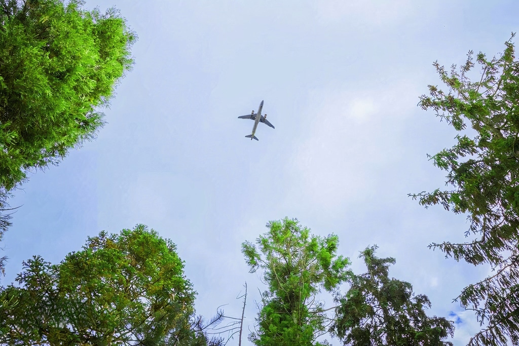 A jet flies over green trees.