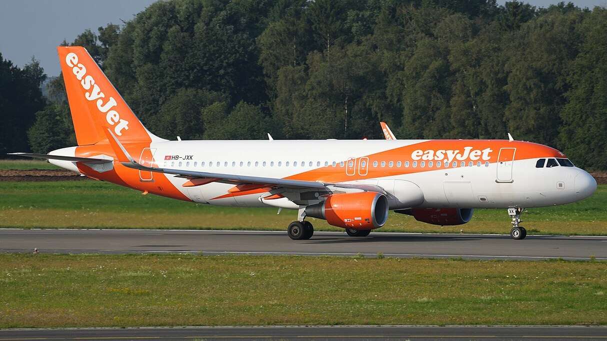 easyJet A320 Returns to Basel After Bird Strike