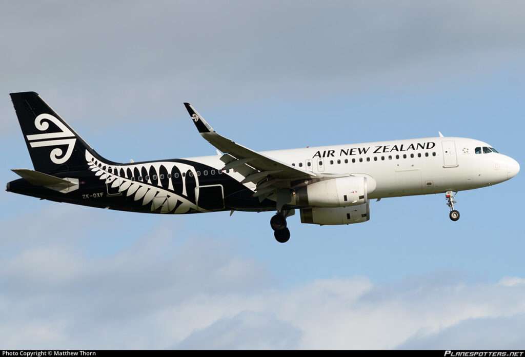 An Air New Zealand (ANZ) flight bound for Christchurch was forced to reject it's takeoff from Queenstown due to a bird strike on the roll.