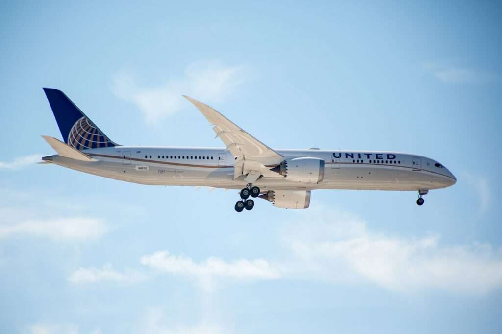 It has emerged over the weekend that a United Airlines Boeing 787 suffered a bird strike on approach into Newark. 