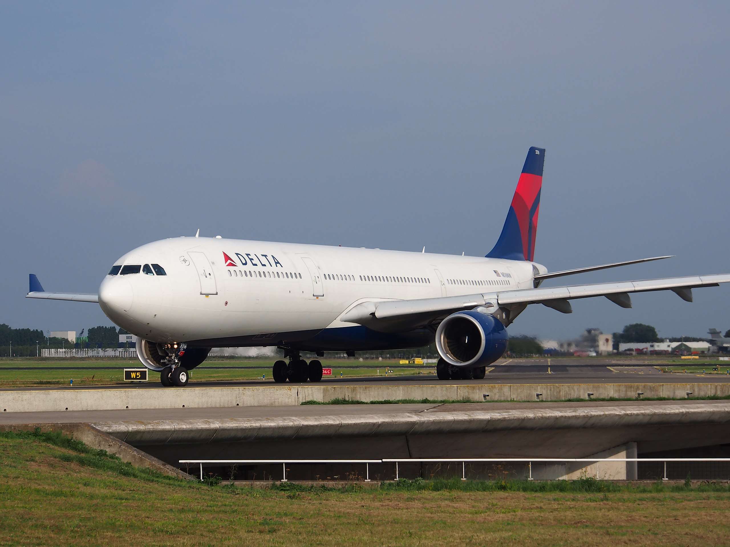 Delta Flight DL136 Detroit-Amsterdam Makes Emergency Landing in New York: Spoiled Food